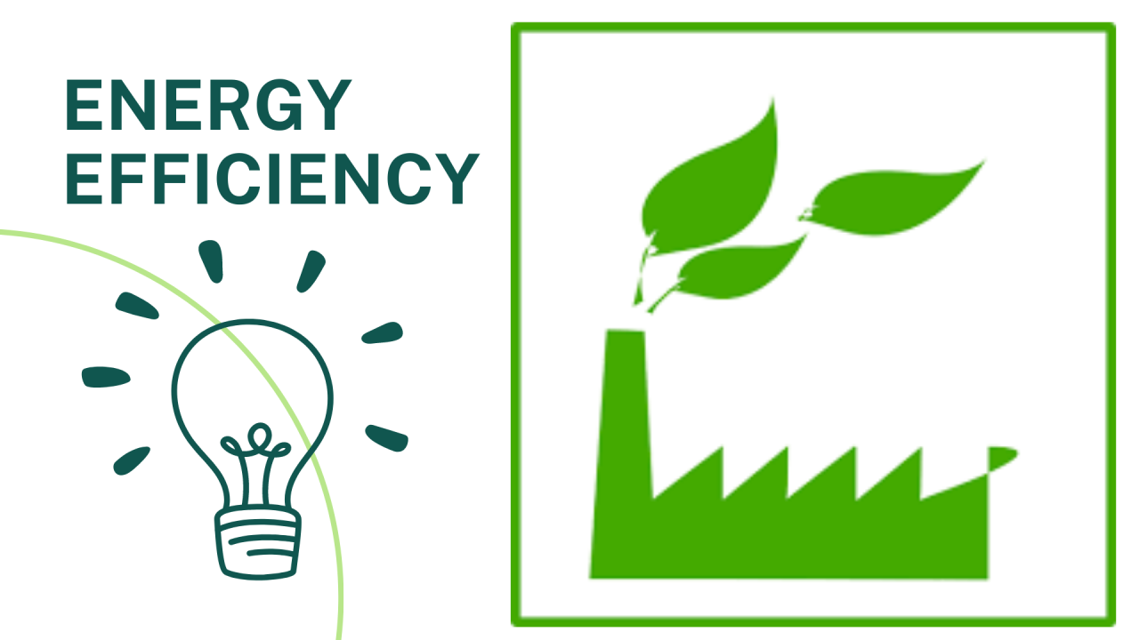Energy Efficiency